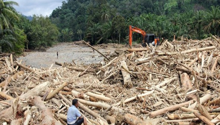 WALHI Sumut Desak Pemerintah Ungkap Nama 12 Perusahaan yang Dicabut Izin Usai Banjir Bandang di Sumatera Utara