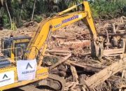 Menteri LH Hanif Faisol Ungkap Kayu Gelondongan Longsor Batang Toru Berasal dari Aktivitas Ilegal, Bukan Faktor Alam