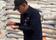 stok beras Sumut