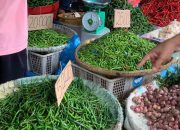 harga cabai rawit hari ini