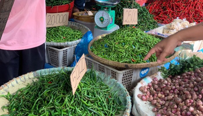 Harga Cabai Rawit Tembus Rp100.000/kg, Komoditas Lain Mulai Turun di Medan Pasca Bencana
