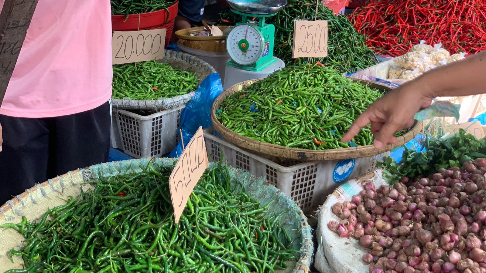 harga cabai rawit hari ini