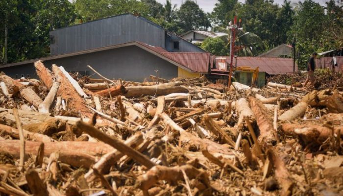 Kemenhut Perbolehkan Kayu Hanyut Dimanfaatkan untuk Pemulihan Banjir, tapi Ada Aturannya