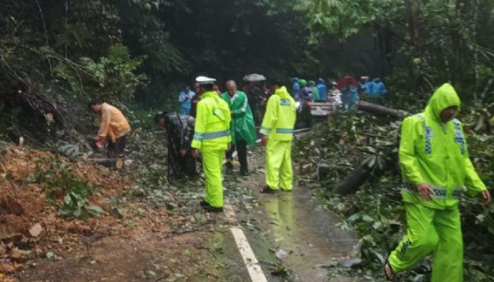 Korban Bencana Alam di Sumatera Utara Bertambah Jadi 312 Jiwa, Tersebar di 11 Kabupaten/Kota