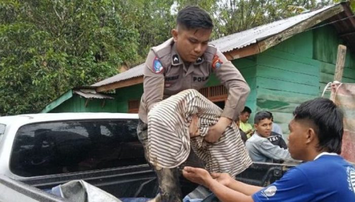 Korban Bencana Alam di Sumut Bertambah Jadi 318 Jiwa, Pusdalops PB Umumkan Data Terbaru