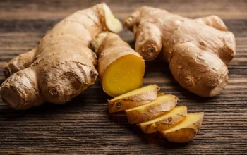 manfaat temulawak untuk rambut