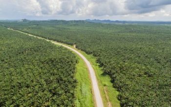 Perusahaan sawit Sumatera Utara