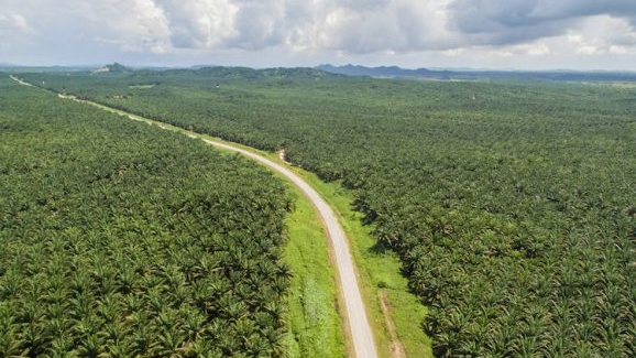 Perusahaan sawit Sumatera Utara