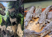 Wisata murah meriah di Kota Medan, keluarga menikmati taman edukasi ramah anak di pusat kota Medan, liburan hemat di Medan