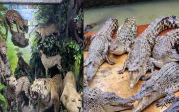 Wisata murah meriah di Kota Medan, keluarga menikmati taman edukasi ramah anak di pusat kota Medan, liburan hemat di Medan