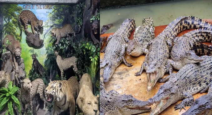 Wisata murah meriah di Kota Medan, keluarga menikmati taman edukasi ramah anak di pusat kota Medan, liburan hemat di Medan