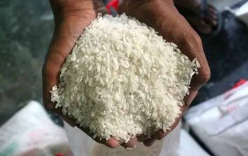 Jelang Natal dan Tahun Baru 2025 Harga Pangan Melambung: Harga Cabai Rawit Merah Tembus Rp73.850 per Kg