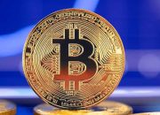 American Bitcoin