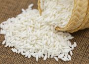 Rekomendasi 10 Merk Beras Terbaik yang Rasanya Enak dan Pulen