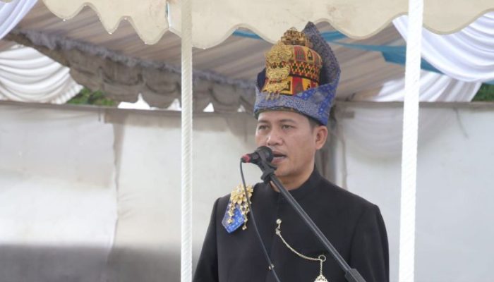 Gerindra Copot Mirwan MS dari Jabatan Ketua DPC Aceh Selatan, Ini Alasannya