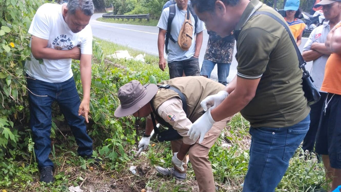 satwa tertabrak Parapat