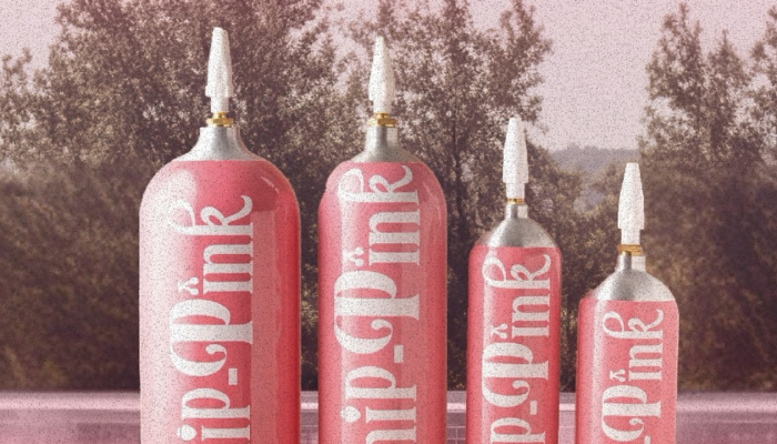 Kemenkes Imbau Warga Tak Salahgunakan Gas N2O Usai Kasus Kematian Influencer Lula Lahfah