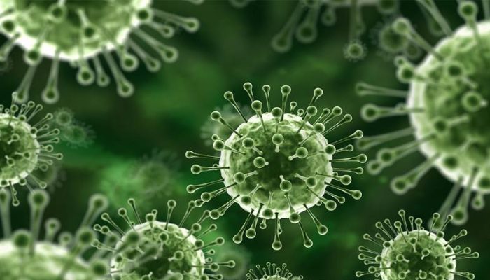 Thailand Masuk Zona Risiko Tinggi Wabah Virus Nipah, Ditularkan Kelelawar Buah