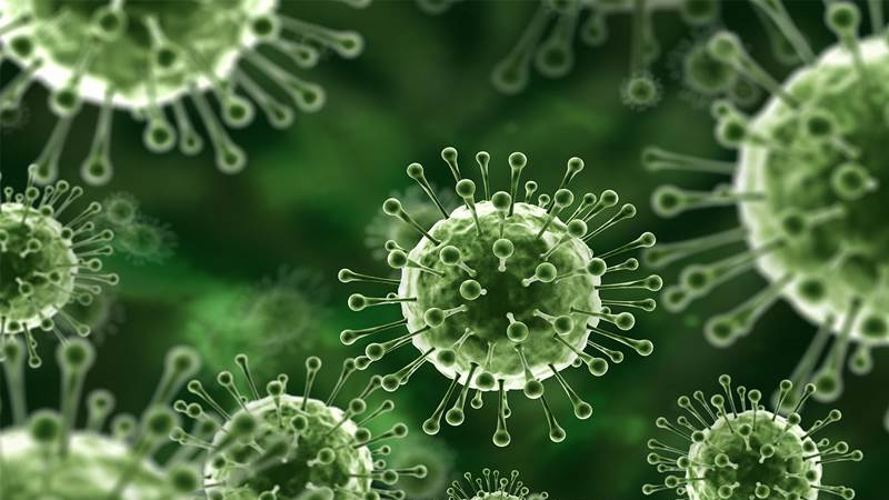 virus Nipah Thailand