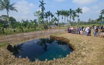 Geger! Sinkhole Muncul di Sumatera Barat, Kabupaten Limapuluh Kota Berubah Jadi Hiruk-Pikuk