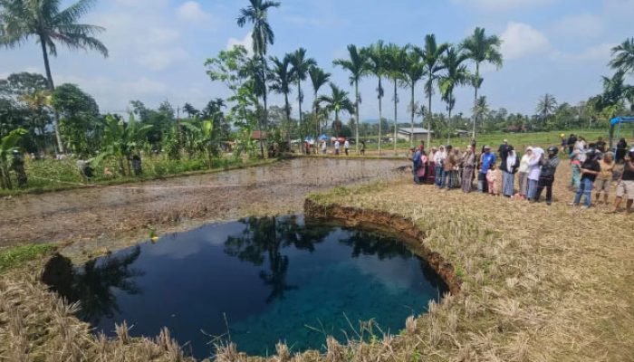 Geger! Sinkhole Muncul di Sumatera Barat, Kabupaten Limapuluh Kota Berubah Jadi Hiruk-Pikuk