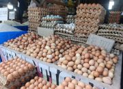 Harga Telur Ayam Ras di Pasar Tradisional Kabupaten Toba di Kisaran Rp28.300 Per Kilogram