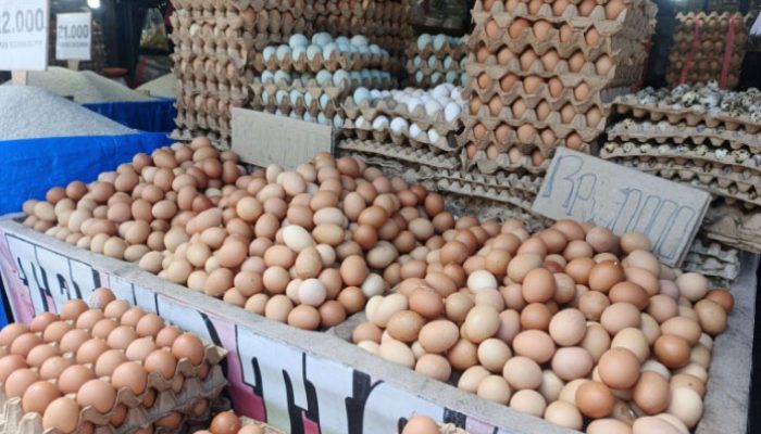 Harga Telur Ayam Ras di Pasar Tradisional Kabupaten Toba di Kisaran Rp28.300 Per Kilogram