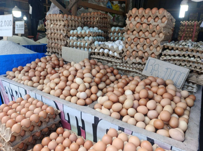 Harga Telur Ayam Ras