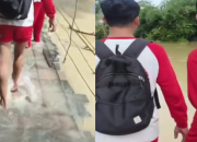 Viral Pelajar Lampung Tengah Terobos Banjir Demi Sekolah, Jembatan Kayu Nyaris Roboh