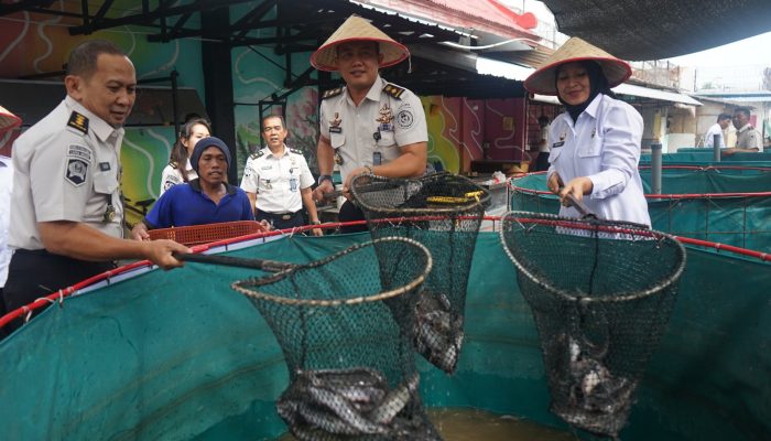 Lapas Kelas I Medan Panen 500 Kg Lele dan 300 Kg Sayuran Hidroponik, Program Pembinaan WBP Berjalan Produktif