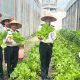 Lapas Kelas I Medan