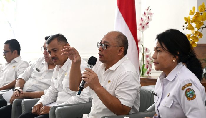 Pemprov Sumut Targetkan Realisasi Investasi Rp100 Triliun Hingga Tahun 2029
