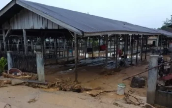 4 Rumah Hanyut, Ratusan Terdampak Banjir di Tapanuli Utara, BPBD Masih Lakukan Pendataan