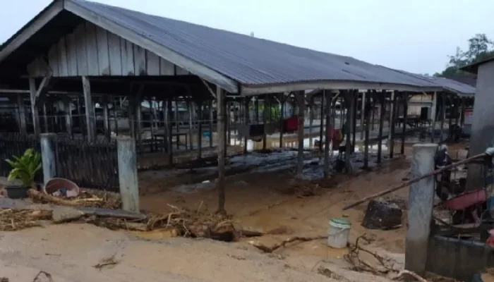 4 Rumah Hanyut, Ratusan Terdampak Banjir di Tapanuli Utara, BPBD Masih Lakukan Pendataan