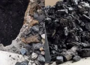 viral batu bara Kalimantan