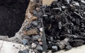 Viral Pria di Kalimantan Temukan Batu Bara Saat Gali Septic Tank, Fakta Geologinya Bikin Takjub