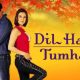 Sinopsis Film Dil Hai Tumhara