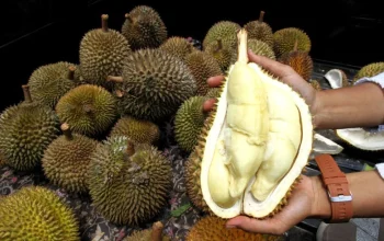 China Siap Jadi Pembeli Durian RI, Peluang Ekspor Tembus Pasar Rp 120 Triliun