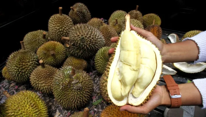 China Siap Jadi Pembeli Durian RI, Peluang Ekspor Tembus Pasar Rp 120 Triliun