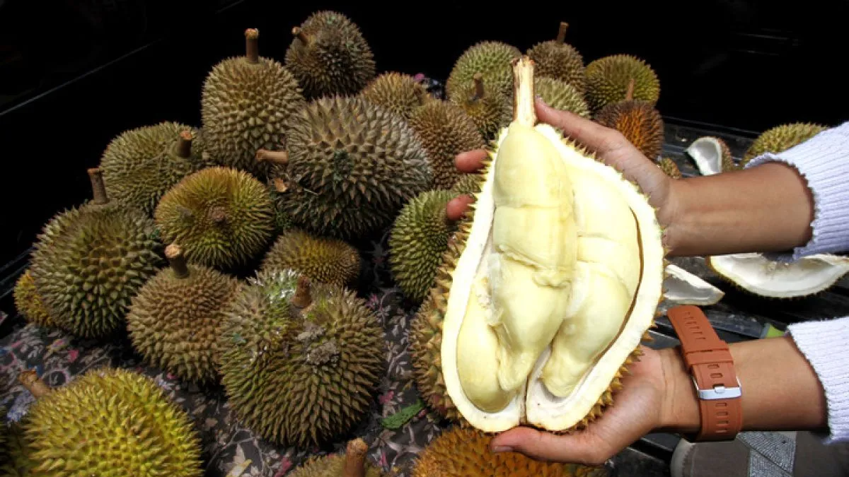 durian Indonesia ekspor China