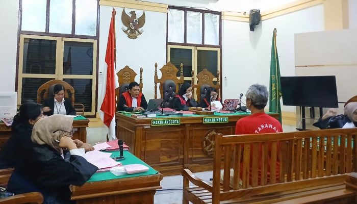 Jual Beruang Madu Awetan, Pria di Medan Tetap Dihukum 2 Tahun Penjara di Tingkat Banding