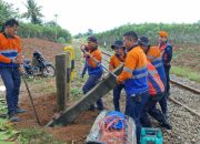 perlintasan sebidang