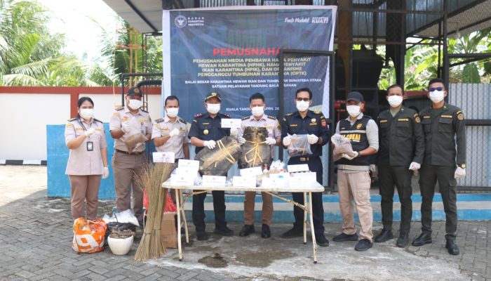 Jaga Keamanan Hayati, Ribuan Kulit Biawak Dimusnahkan Karantina Sumut