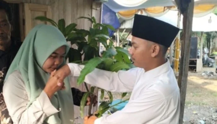 Viral! Pengantin di Rembang Beri Mahar Bibit Pohon Mangga, Sarat Makna Kehidupan