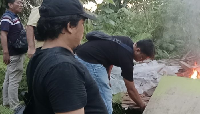 Polsek Bosar Maligas Gerebek dan Bakar Lapak Haram di Perladangan Nagori Boluk