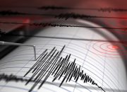 Gempa di Laut Maluku