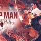 Sinopsis Film Ip Man