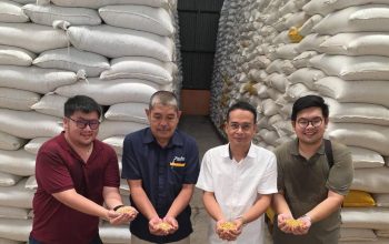 Bulog Sumut Mulai Salurkan 66 Ton Jagung SPHP