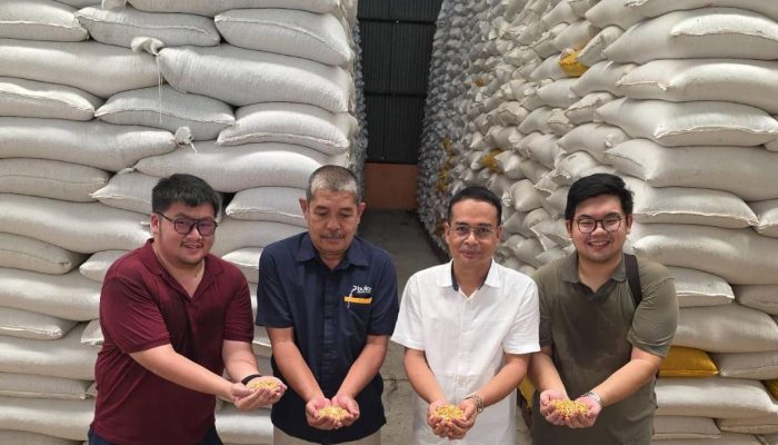 Bulog Sumut Mulai Salurkan 66 Ton Jagung SPHP