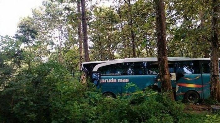 bus nyasar di hutan Blora